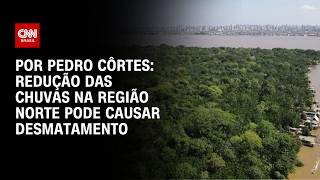 Vídeo: Análise: Redução de chuvas na região Norte pode causar desmatamento | LIVE CNN
