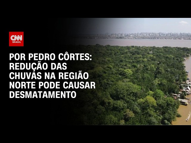 Análise: Redução de chuvas na região Norte pode causar desmatamento | LIVE CNN