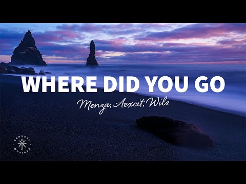Menza, Aexcit, WILS - Where Did You Go (Lyrics)