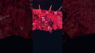 Download lagu 260523 WOODZ - Amnesia (2026 WOODZ WORLD TOUR ’Archive. 1‘ IN TAIPEI) #woodz #조승연 #우즈 mp3 Download lagu 260523 WOODZ - Amnesia (2026 WOODZ WORLD TOUR ’Archive. 1‘ IN TAIPEI) #woodz #조승연 #우즈 mp3
