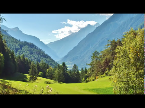 Kingdom Melody 117  'The Quality of goodness'