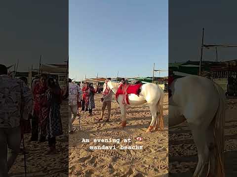 ek sham mandavi beach ke naam# Sunday fun# mandvi beach# gujrat # horse riding # shorts