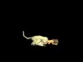 Game Over Disney S Tarzan