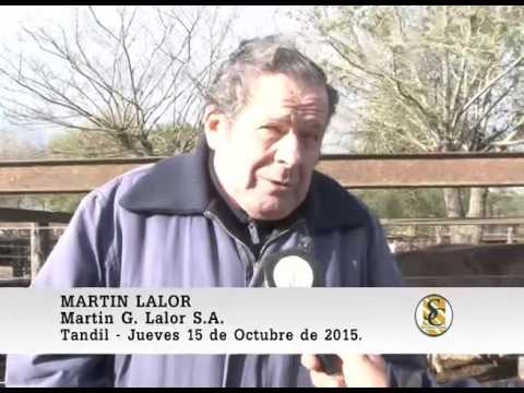 15-10-15 Nota Martin Lalor - Martin G. Lalor S.A. - Tandil.