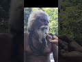 சிவனை எப்படி வழிபடலாம் Omnamahshivaya Sivan Mahadev Youtubes