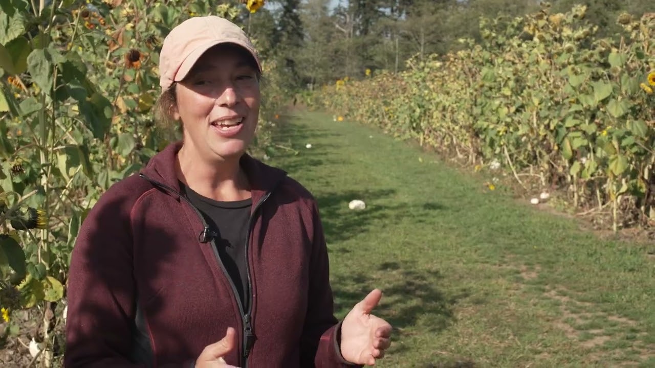 Hazelmere Pumpkin Patch Documentary