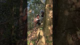 Download lagu there are cute animals in the roots of a big tree #shortvideo #nature #trending mp3 Download lagu there are cute animals in the roots of a big tree #shortvideo #nature #trending mp3