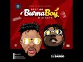 DJ Baddo Best Of Burna Boy Mix
