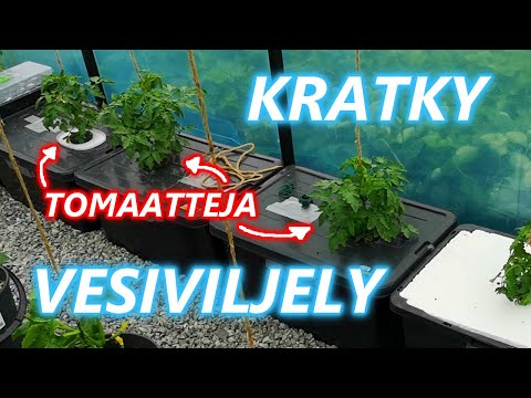 , title : 'Tomaattien Kasvatus Kratky Vesiviljelyllä'