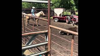 Video 1