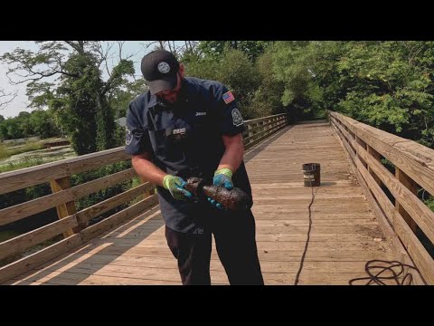 Magnet Fishing a Military Dump Site (Part 2)