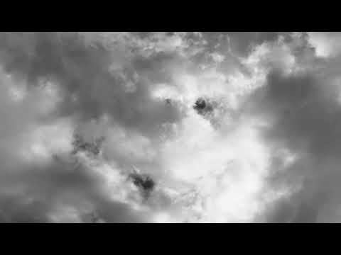 DEDSHIRTs Ex Libris feat. MAURONSTER