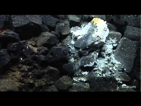 Hydrothermalquelle_Piquinho.mp4