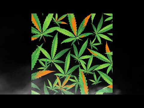 Video thumbnail for 420 Every Day