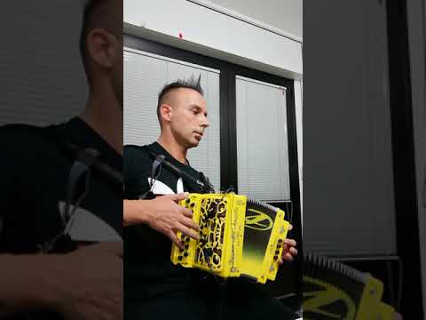 Tarantella "Sulla Biga" del grande M°Daniele Lamano by De Angelis Organetti