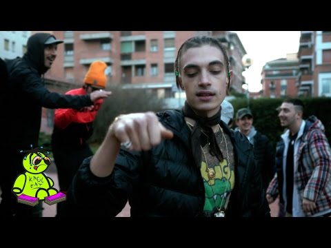 DREFGOLD - CASCO MOMO