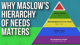 Why Maslows Hierarchy Of Needs Matters Video
