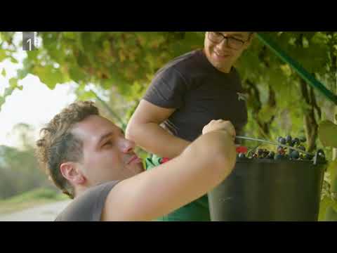 Slovenska podoknica - Ansambel Petan predstavitev (Slovenski pozdrav, 15.11.2019)