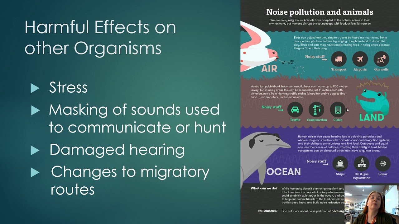 APES notes Unit 7, section 8 - Noise pollution