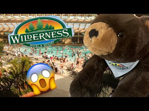 getting wild at the wilderness resort