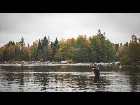 Kuulumisia Kymijoelta #18 - "Vielä kerran pojat"