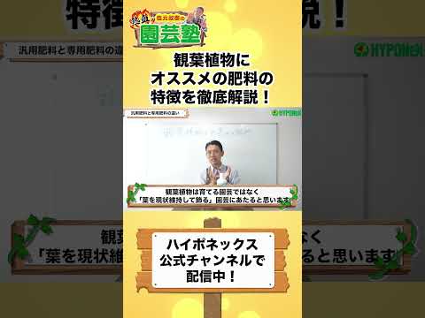観葉植物用の天然肥料を作るにはどうすればよいですか？ベスト 5 のアイデア  庭園
