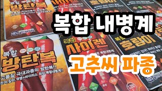 고추 농사 시작!  복합 내병계 품종 