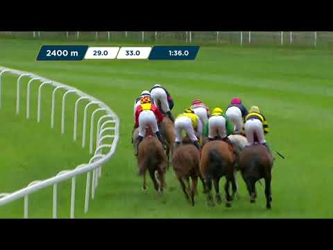 NAGRODA OFIRA – (KAT. A) 25.06.2023 - (Dzień 17; Gonitwa 5)