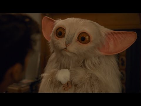 The Doctor asks for The Meep's pronouns - Doctor Who