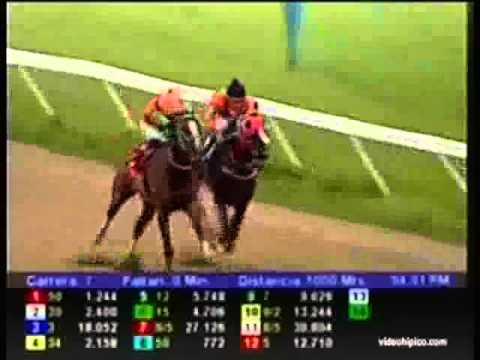 Resumen Viernes, 26 de Julio de 2013 - Valencia