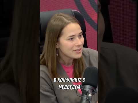 Опасные отходы: как твои чипсы убивают медведей и людей! #shorts