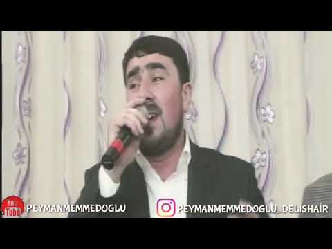 Seyyid Taleh & Seyyid Peyman   imam Zaman e,f Masalli Toyu 2018