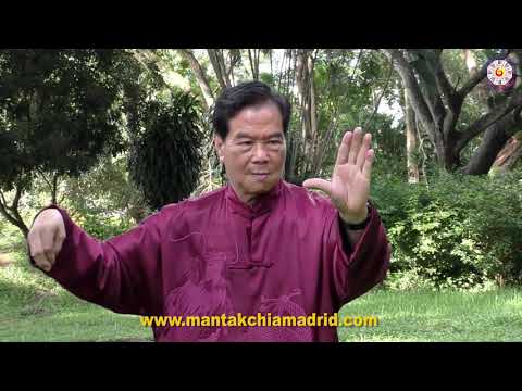 Tai Chi Qi Gong by Master Mantak Chia