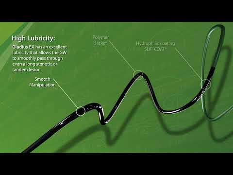 The new ASAHI Gladius EX Guide Wire