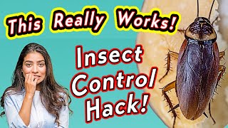 How To Get Rid Of Cockroaches In The Kitchen!