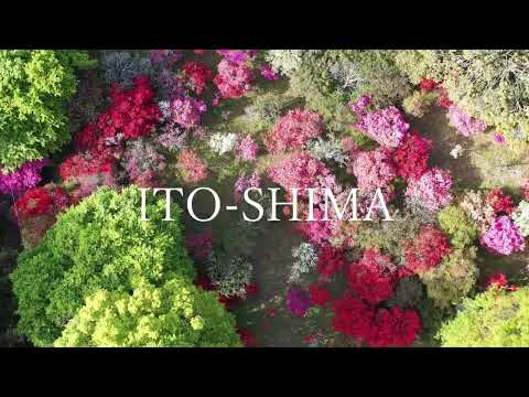糸島浮嶽つつじ祭　～糸島10秒動画～