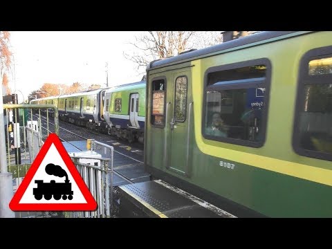 Sydney Parade Level Crossing, Dublin - Irish Rail 29000 and 8300 Class Trains
