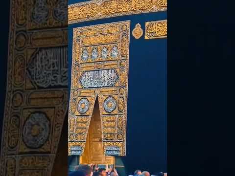 Twaaf Kaba | #youtubeshorts #viral