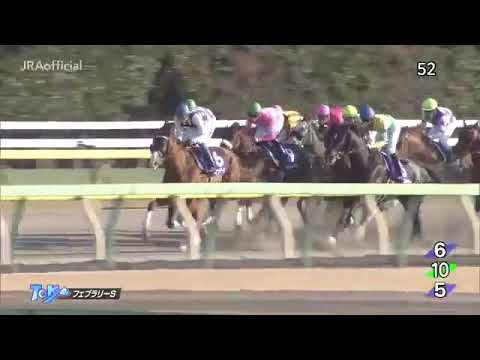 2019 フェブラリーステークス February Stakes 二月錦標