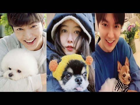 Lee Min Ho and Koo Hye Sun Pet Lovers 😘💖