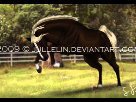 Horses Deviant Art