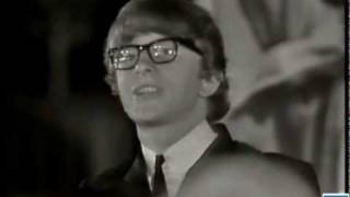 Peter and Gordon - A World Without Love (Rock &#39;n&#39; Roll Gold Mine, British Invasion)