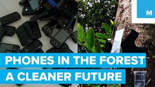 Using Cell Phones to Save the Rainforest - A Cleaner Future