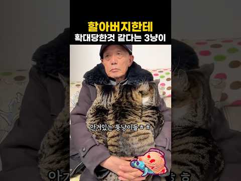 할아버지한테 확대당한것 같다는 3냥이ㅋㅋ