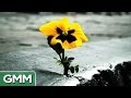 Good Mythical Morning Intro (Season 6-8) by Pomplamoose