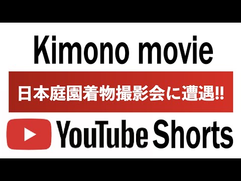 agrandissement-maison-moderne-salon-porte-pivot-vitreé-jardin