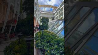 Walk down Cental Park🌳 | Harmony OTS #royalcaribbean #harmonyoftheseas #cruise #cruiseship #shorts