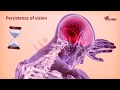 Persistence Of Vision CBSE Online Classes
