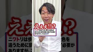 くじ引きで【疑問詞】を引いて答えろ🐓 #Shorts