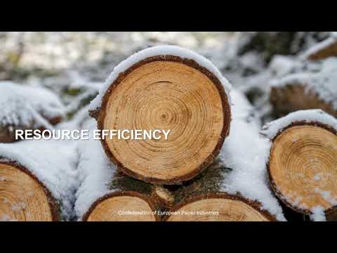 Cepi x SFIF: Facts you neeed to know about forests